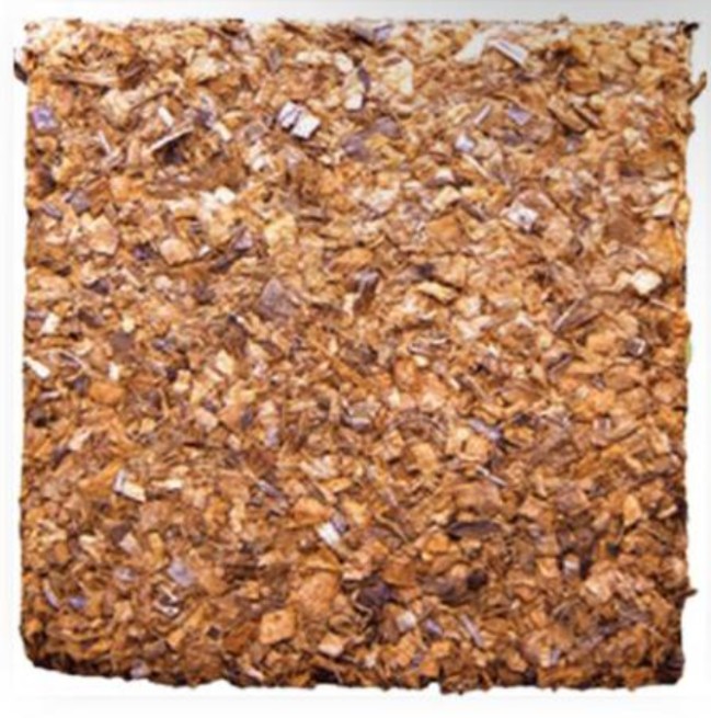 Coco Chips