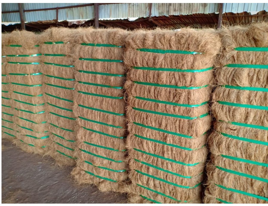 Coco Fiber